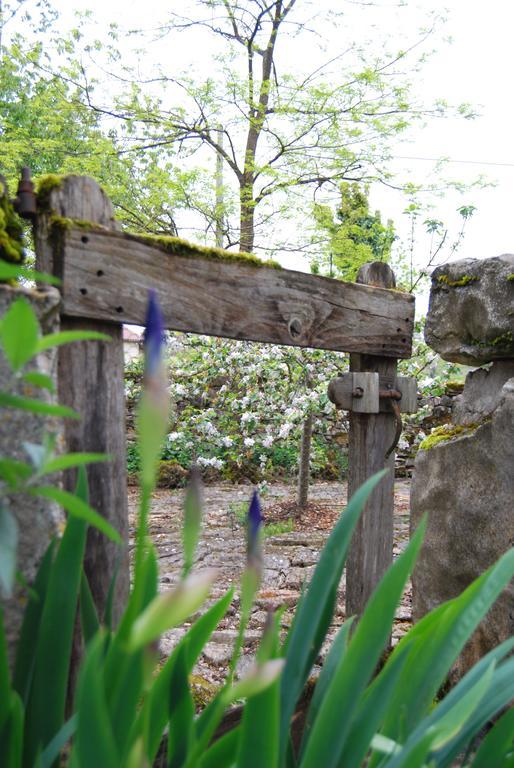 Mas De Garrigue Bed & Breakfast Calvignac Luaran gambar