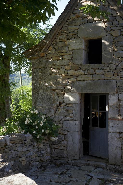 Mas De Garrigue Bed & Breakfast Calvignac Luaran gambar