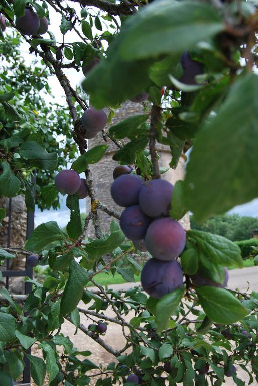 Mas De Garrigue Bed & Breakfast Calvignac Luaran gambar